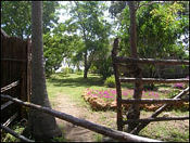 Capricorn Beach Cottages